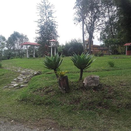 La Gaviota Bnb Bed and Breakfast Filandia Εξωτερικό φωτογραφία